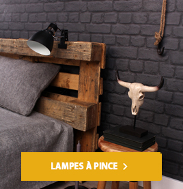 lampes a pince