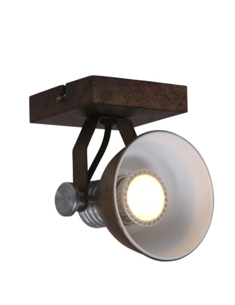 Lampe de plafond résistant à LED Steinhauer Brooklyn couleur marron-1533B