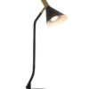 Lampe de table courbée Anne Lighting Anne's Choice noir-2489ZW