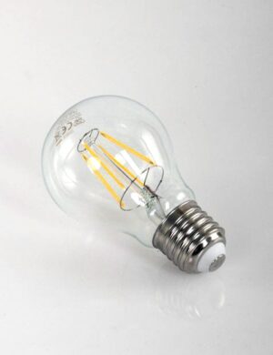 ampoule-led-e27-i14673s-2