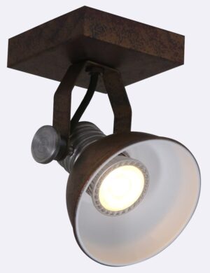 lampe-de-plafond-resistant-a-led-steinhauer-brooklyn-couleur-marron-1533b-2