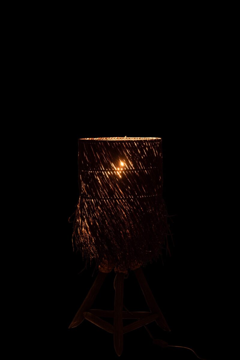 lampe-de-table-rustique-en-rotin-noir-jolipa-arthur-30990-4