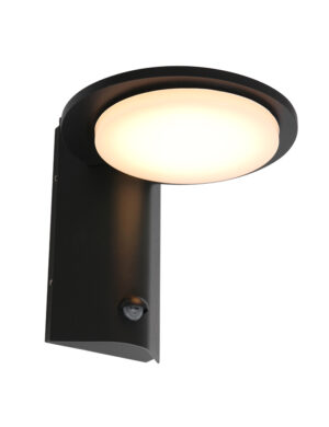 lampe-led-dexterieur-avec-capteur-luzon-steinhauer-noir-2714zw