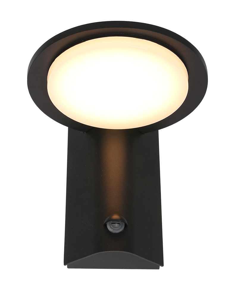 Lampe LED d'extérieur avec capteur Luzon Steinhauer noir – Image 5