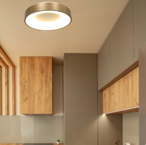 plafonnier-en-anneau-steinhauer-ringlede-or-2562go