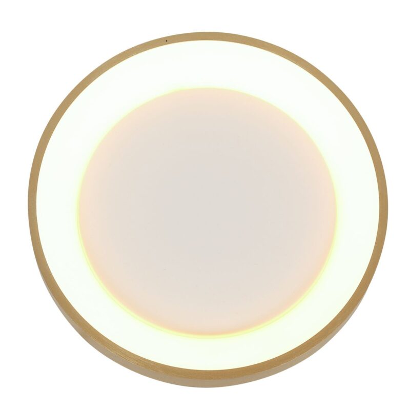 plafonnier-led-dore-rond-minimaliste-steinhauer-ringlede-or-et-opaque-3691go-9