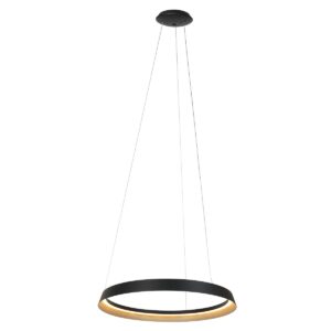 suspension-noire-anneau-avec-eclairage-led-steinhauer-ringlux-or-et-noir-3692zw-2