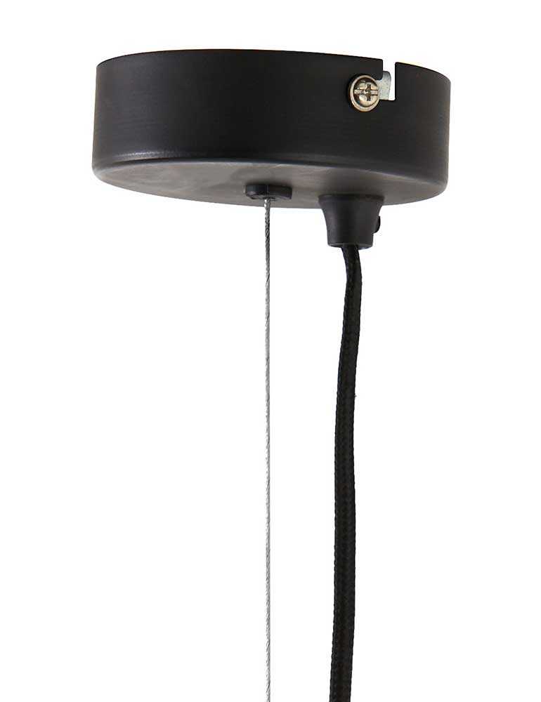 Suspension végétale Light & Living Pavas noir – Image 8