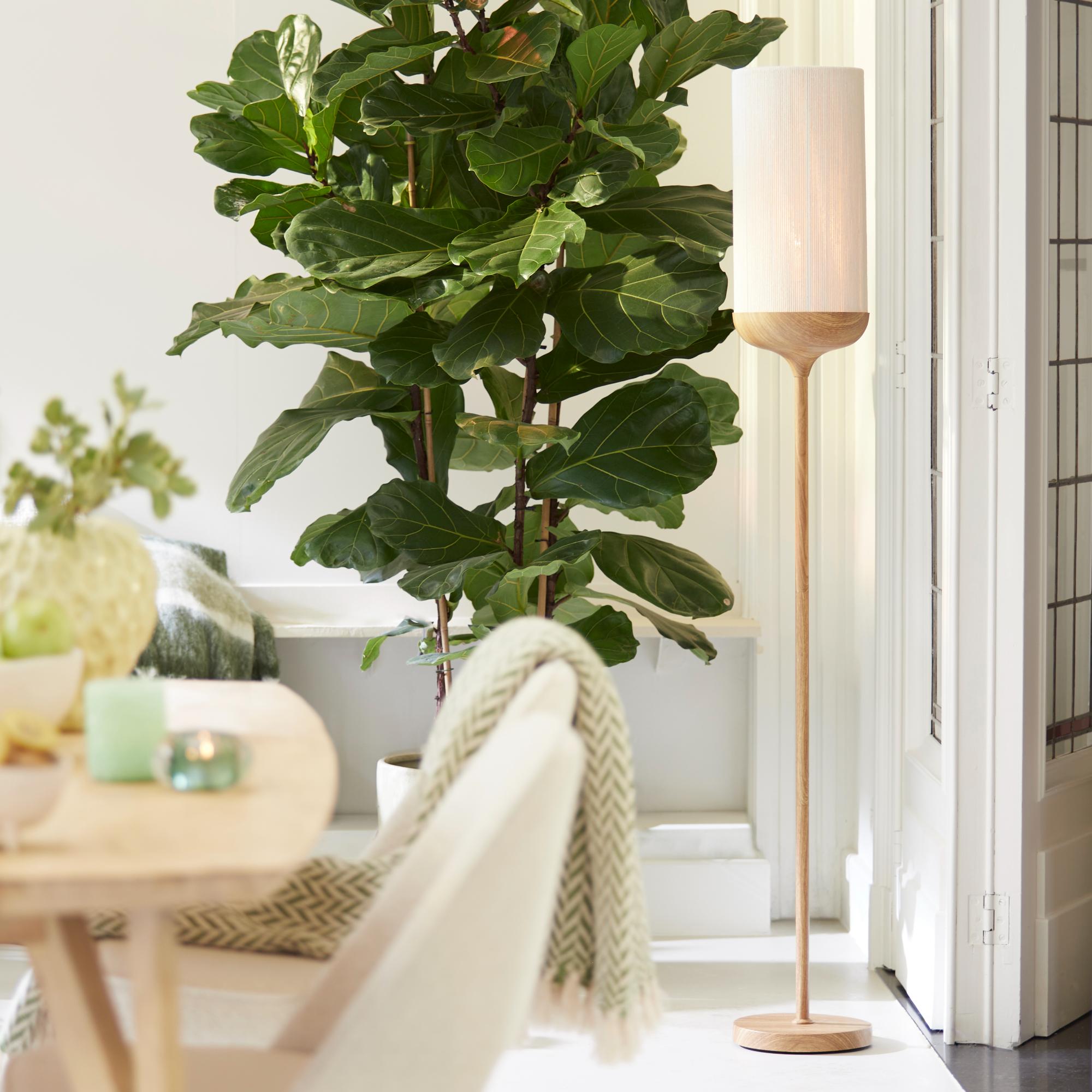 Lampadaire droit beige/naturel en métal Light & Living Dania – Image 7