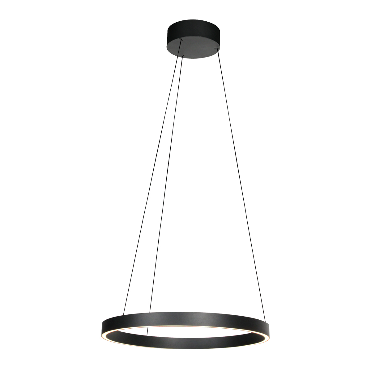 Suspension LED noire design réglable en forme d’anneau Steinhauer Mykty