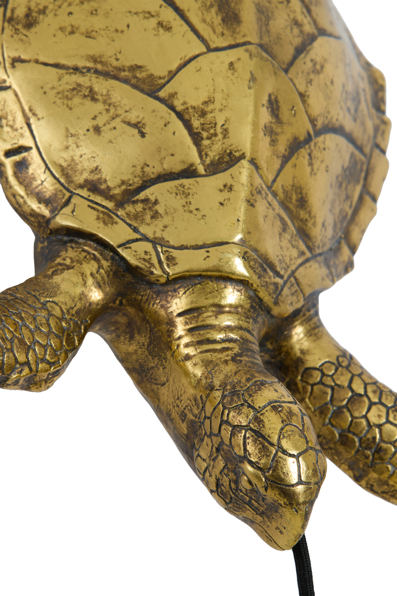 Applique murale décorative tortue dorée Light & Living Turtle – Image 4