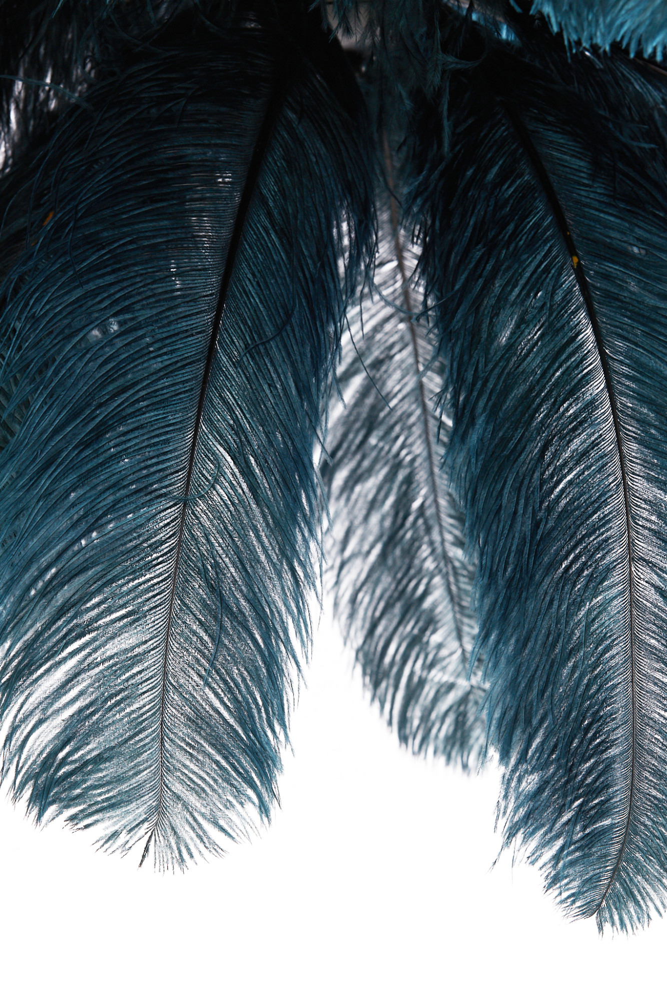 Suspension bleu foncé avec plumes Light & Living Feather – Image 5