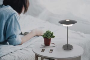 globo-lampedetable-kyler-gris-métal-ø18cm-led-21024g-1