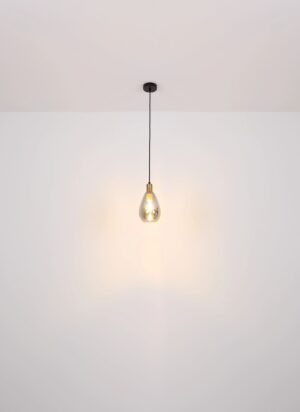 globo-suspension-fanni-noir-verre-ø15cm-e27-15563h-1