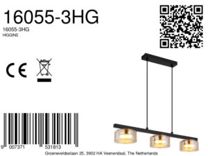 globo-suspension-higgins-noir-verre-grandelampedetableàmanger-led-16055-3hg-8a