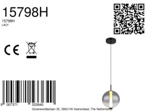 globo-suspension-lacy-noir-verre-ø25cm-led-15798h-8a