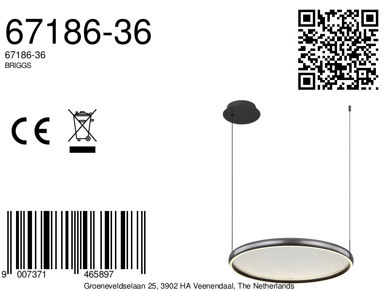 suspensionmoderneaudesignélégantbriggs-8a
