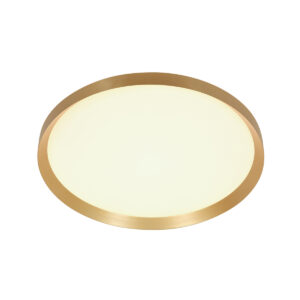 plafonnierdoréavecmoduleledrondsteinhauerflady-10