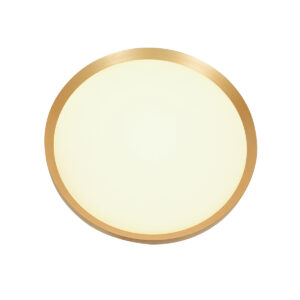 plafonnierdoréavecmoduleledrondsteinhauerflady-14