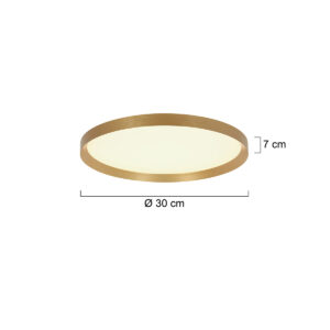 plafonnierdoréavecmoduleledrondsteinhauerflady-7