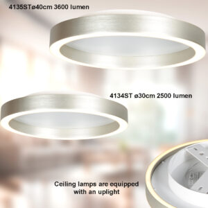 plafonnierenacierbrosséavecanneauledsteinhauerringlux-3