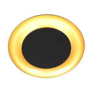 plafonniernoiravecintérieurdorésteinhauergoldenveil-10