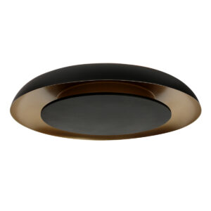 plafonniernoiravecintérieurdorésteinhauergoldenveil-13