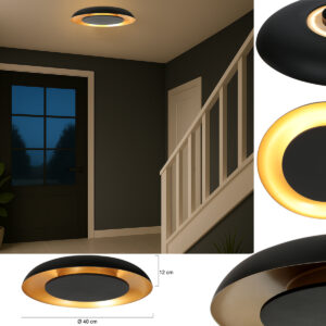 plafonniernoiravecintérieurdorésteinhauergoldenveil-3